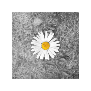 校花被捅出淫水
