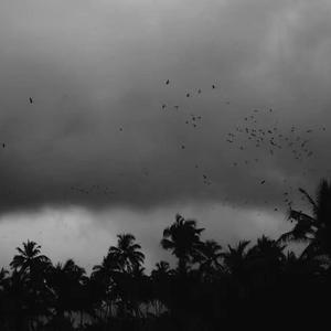 校花被捅出淫水
